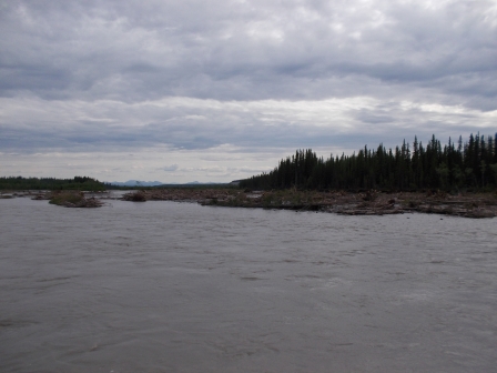 Trees knocked down by Copper River flooding