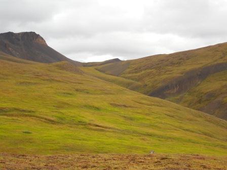 Vibrant colors near Wolverine