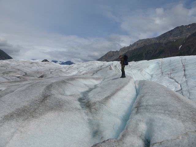 Ranger on Root Glacier