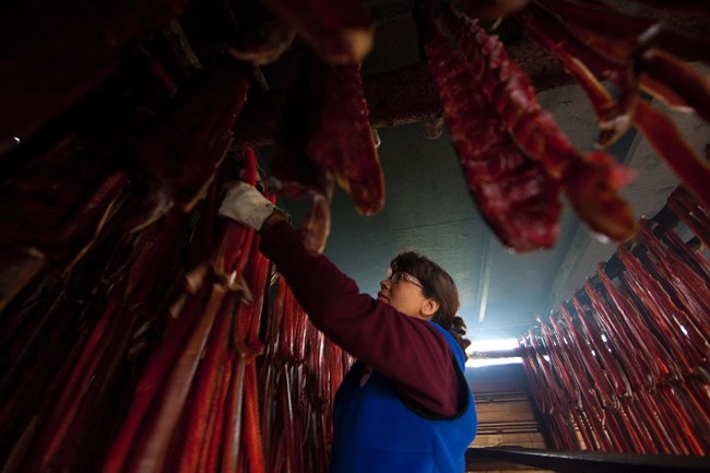 A subsistence user checks on the drying fish in a smoke house