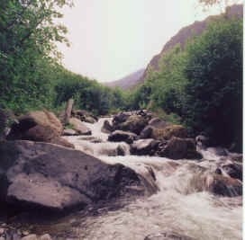 Stream along the Skookum Volcano Trail