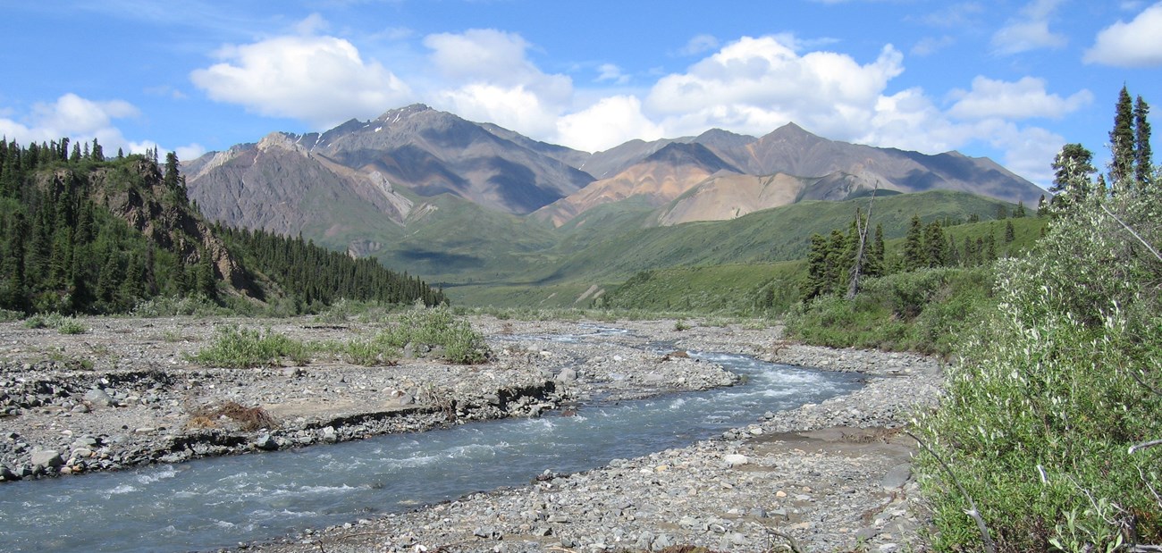 Trail Creek Mentasta Mountains