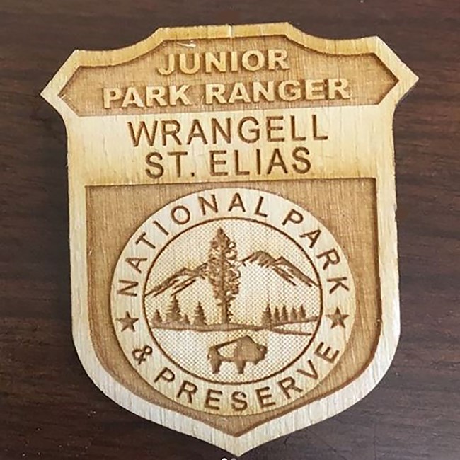 wooden junior ranger badge