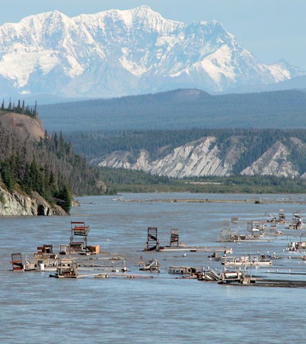 Chitina Fishheels in the Copper River Chitina Fishheels in the Copper River