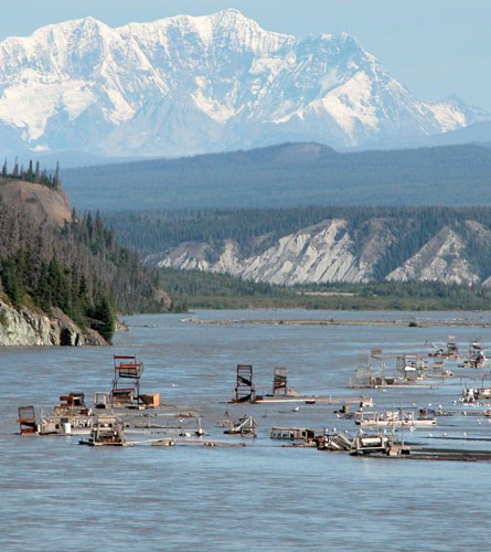 Chitina Fishheels in the Copper River