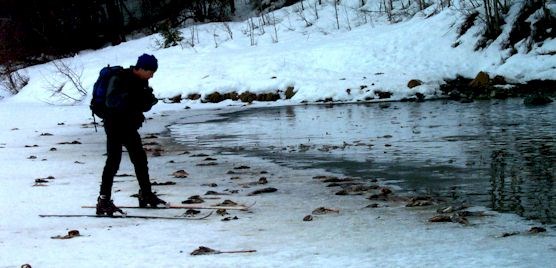 spawning fish during winter spawning fish during winter