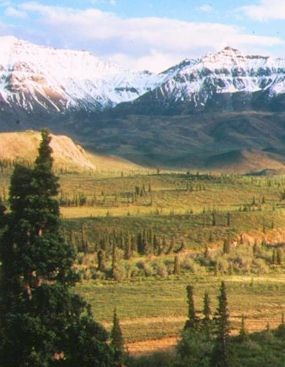 Wrangell St. Elias National Park