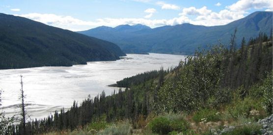 The Chitina is a classic example of a braided river