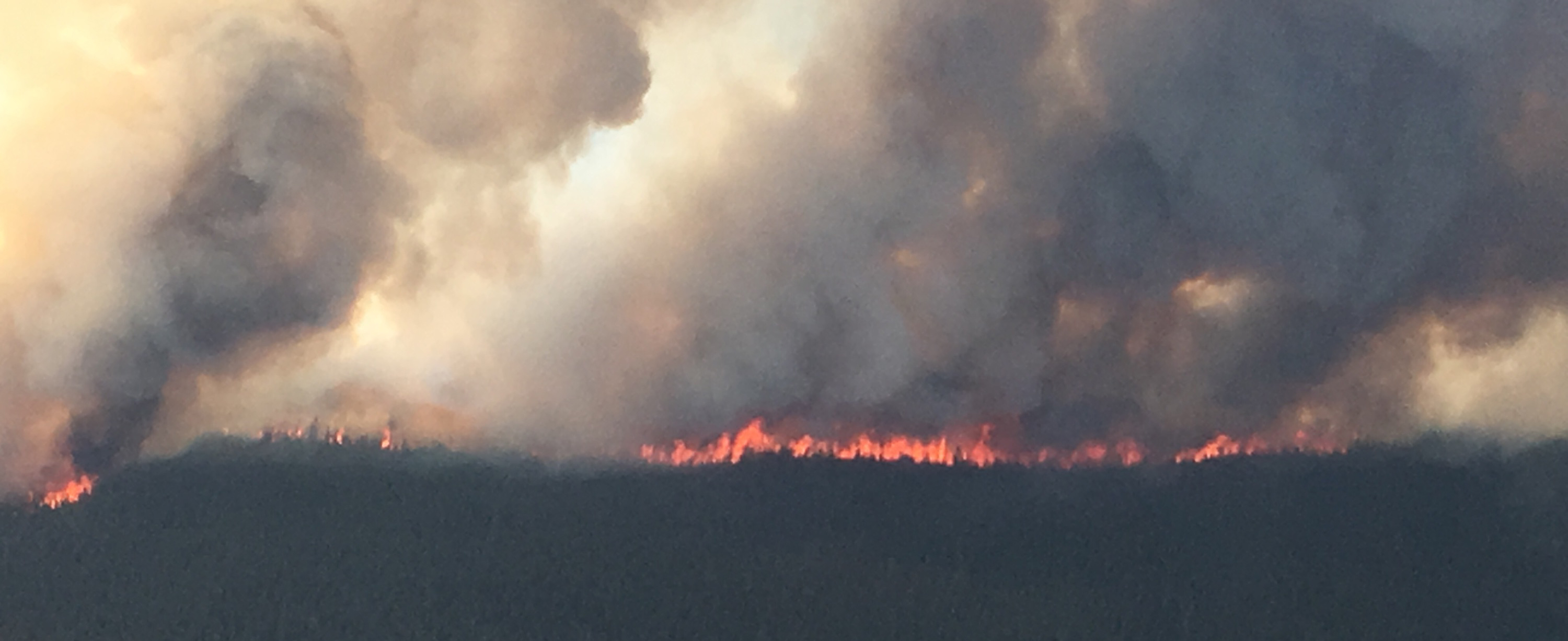 Chetaslina Fire (#606) July 19, 2019 A wildfire burns in the trees on the horizon.