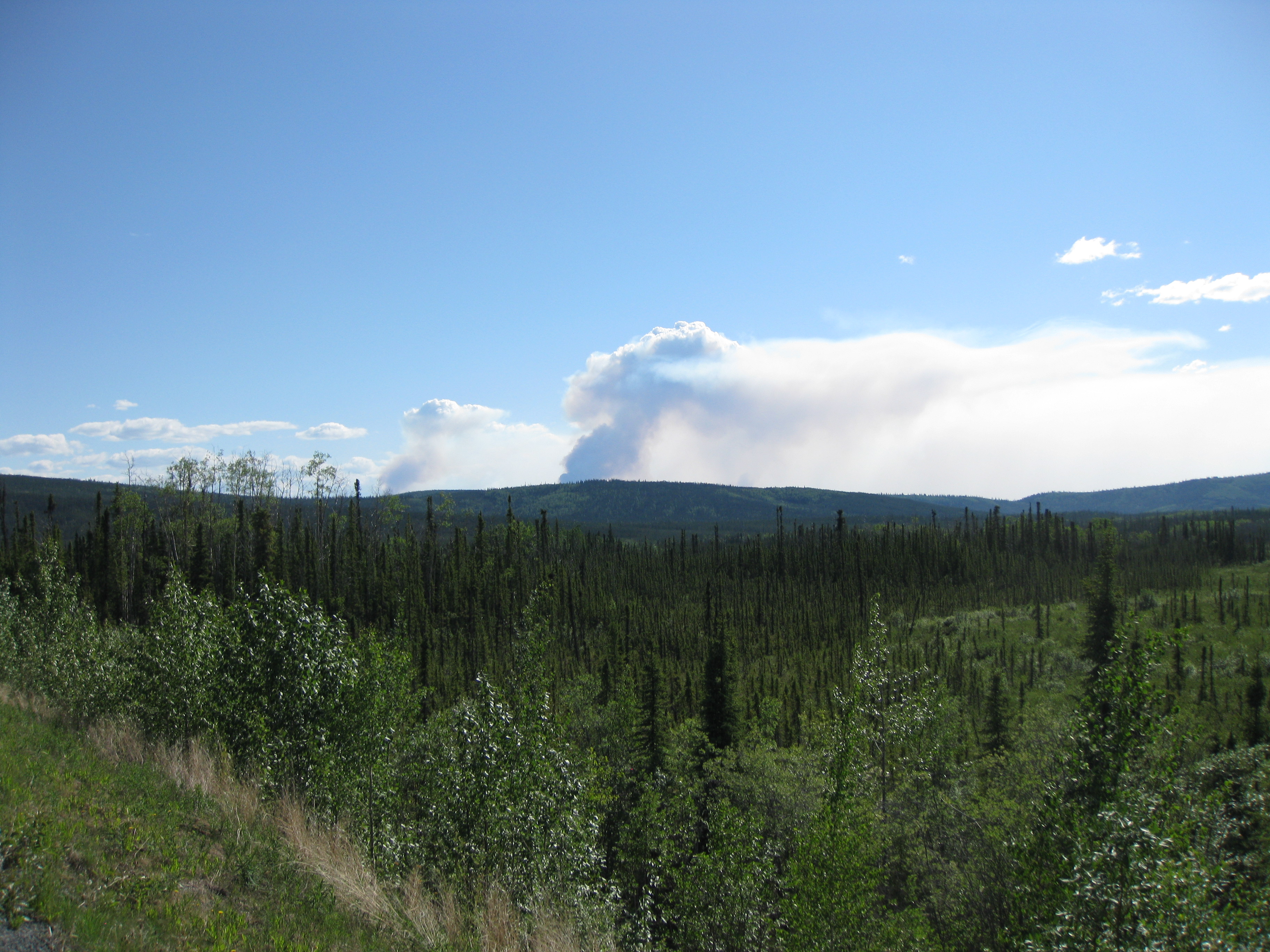 Chisana River Fire June 24