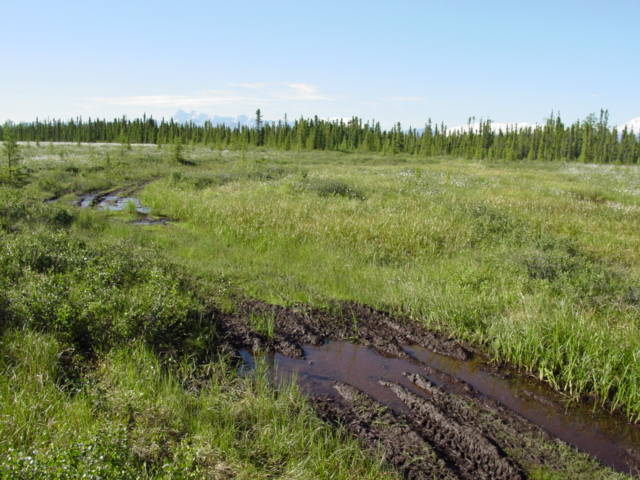 Copper Lake Trail