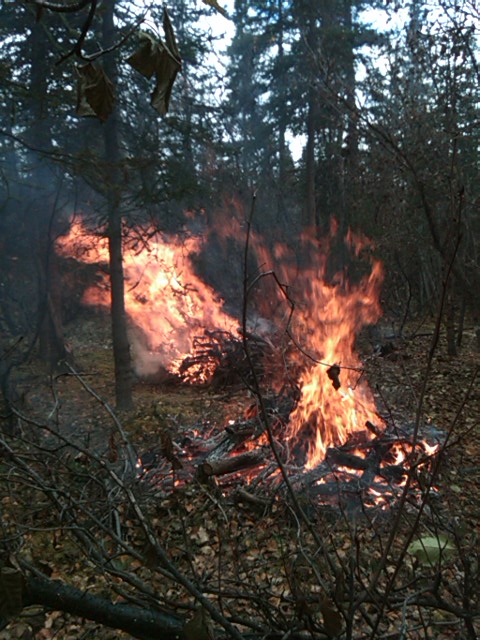 University Fuels Project Pile Burning 100212