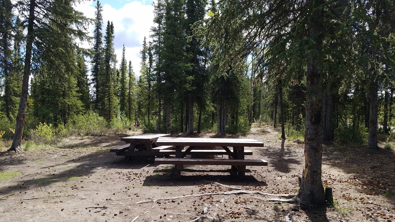 Rufus Creek campsite