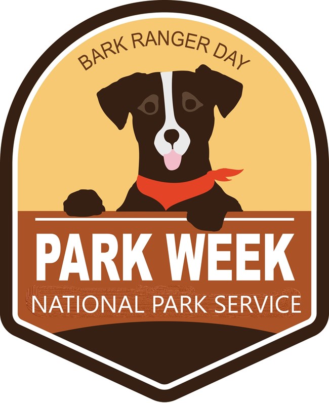Bark Ranger logo