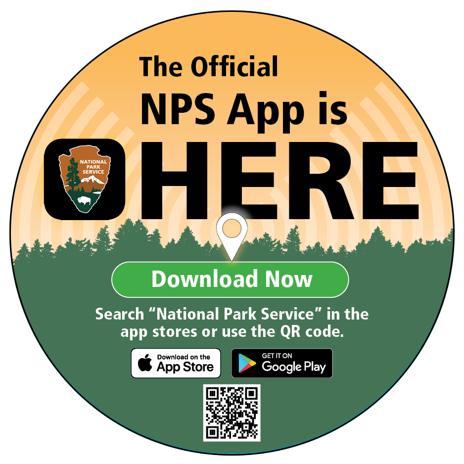 NPS App