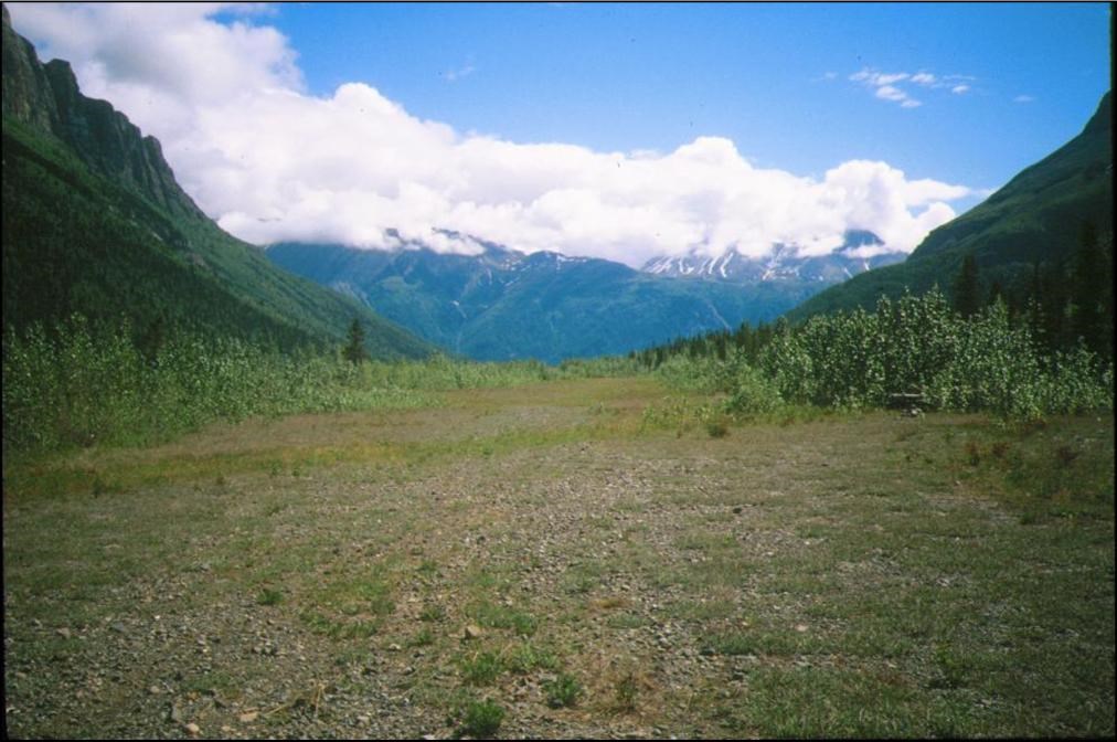 Peavine Airstrip