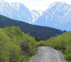 View along the McCarthy Road