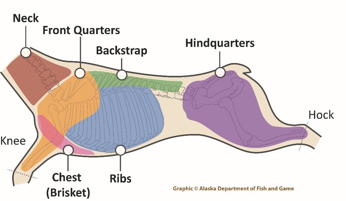 Meat salvage graphic AK Dept of Fish and Game