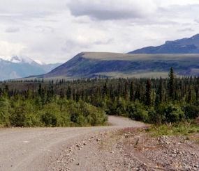 View along the Nabesna Road