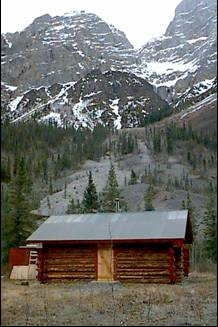 Peavine Cabin