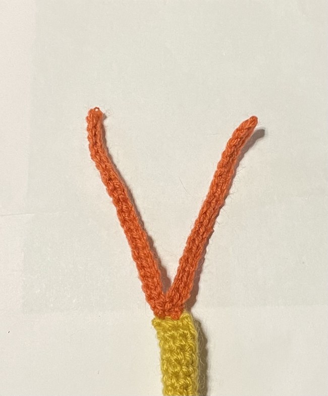 Triops Caudal Furca A yellow and salmon colored yarn crochet model of the telson and caudal furca of a Triops. It is in the shape of a V.