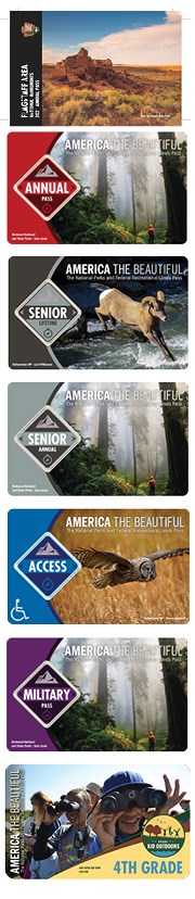 ATB pass images 2021