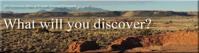 Discovery Hikes