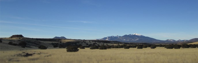 The snow-capped San Francisco Peaks tower over the Wupatki Basin grassland.