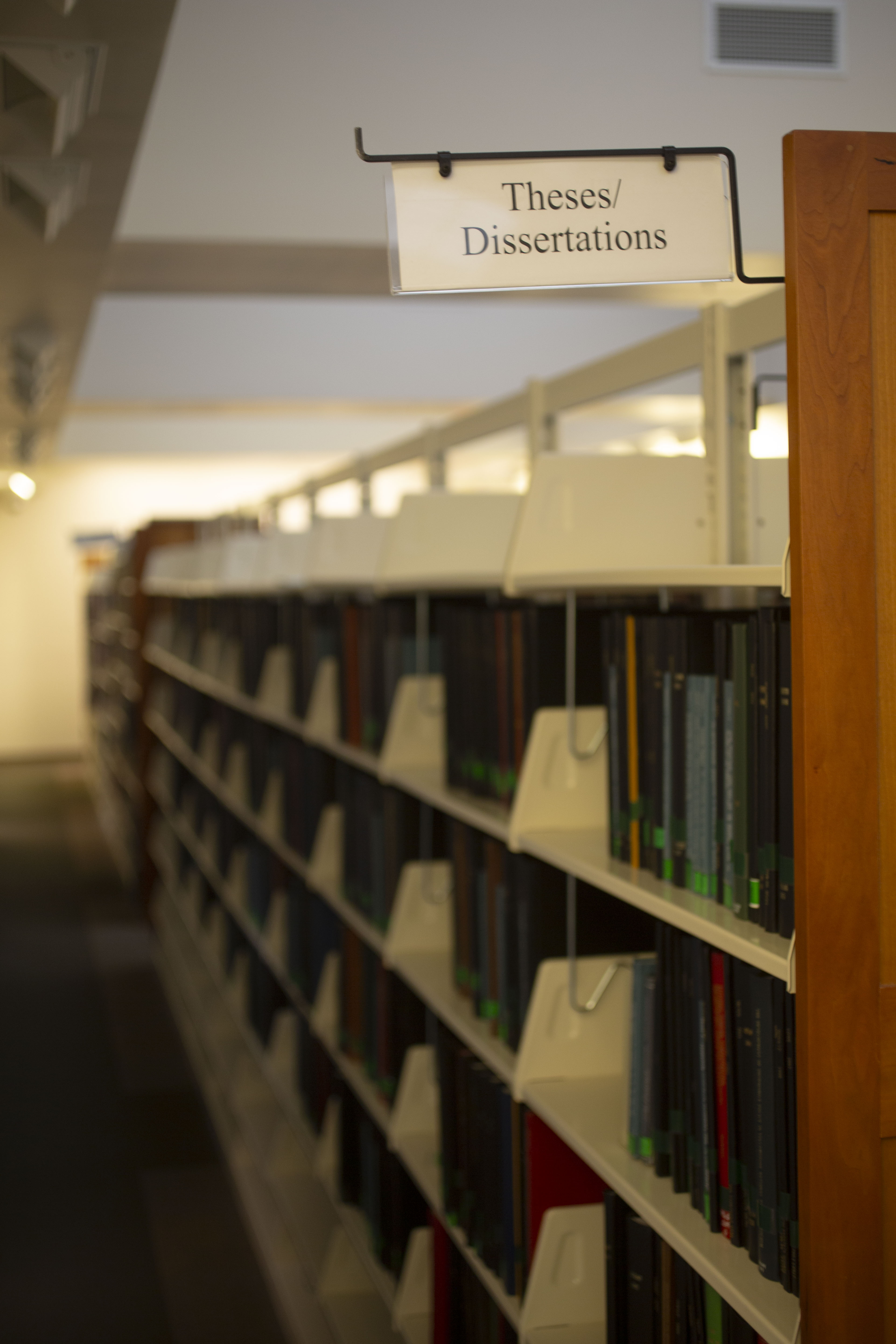 A row of books in a library under the sign: Theses/Dissertations