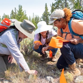 three people looking at archeological finds outdoors