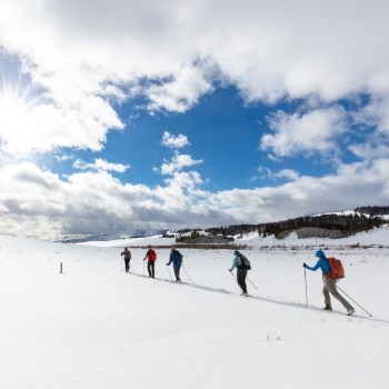 people skiing through a snowy landscape