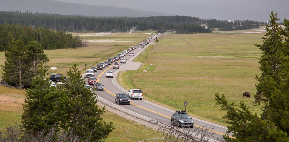 Traffic jam in the Lower Geyser Basin