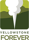 Yellowstone Forever Logo