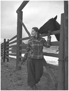 “Beau and young Morgan stallion at Lamar Ranger Station, February 9, 1941.” Based on the date, the horse is either Wakefield Duke or Black Baron. Photo: Ernest R. Augustin, Jr., Photographs, #YELL 185380.3177, Yellowstone National Park Archives