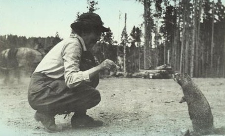 Woman feeding marmot, circa 1925. Photo: YELL 193674-3 Woman feeding marmot, circa 1925. Photo: YELL 193674-3