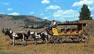 Image from a circa 1950s postcard showing a "Tally-Ho" (possibly the same 1004 numbered coach in the collection) taken near the Roosevelt Lodge. Although missing the roof seats, the coach at this point appears to retain most of its other original features.