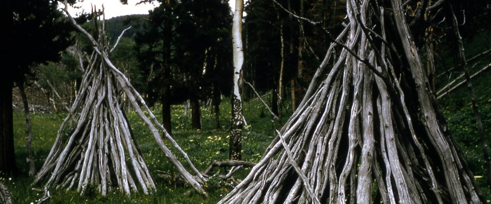 Two structures made of logs next to each other in a meadow