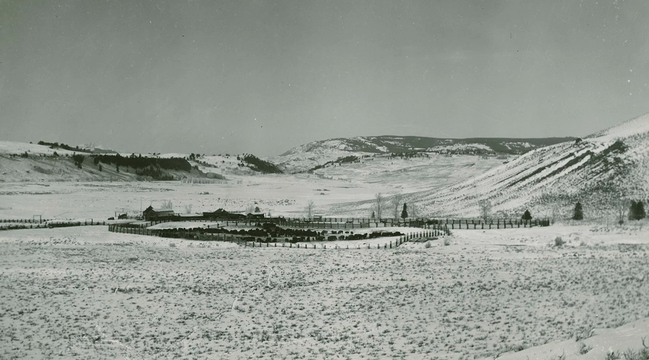 Historic Buffalo Ranch A black and white image of a large snow covered valley with mountains in the distance. In the valley are a few wooden buildings and a large corral filled with bison.
