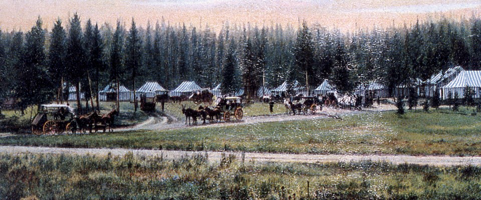 Horse-drawn wagons in front of a tent camp surrounded by trees