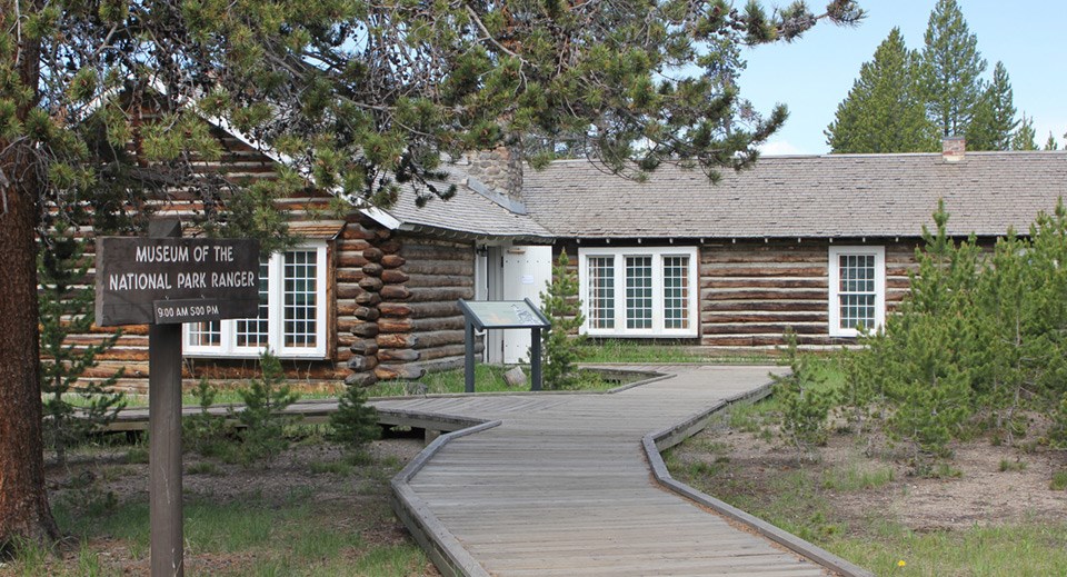 A single story log building in a pine forest.