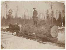 A historical photo of a man standing atop a large log being pulled by a horse. A historical photo of a man standing atop a large log being pulled by a horse.