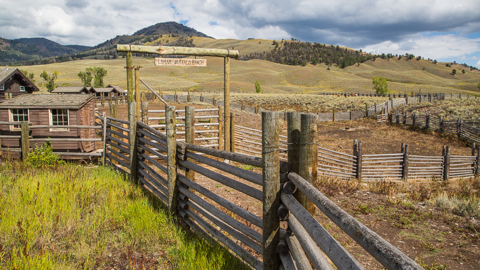 Lamar Buffalo Ranch Yellowstone National Park (U.S