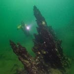 A submerged view of a researcher and rocks