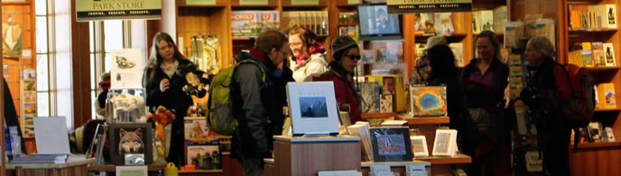 Visitors look at items in a bookstore Visitors look at items in a bookstore