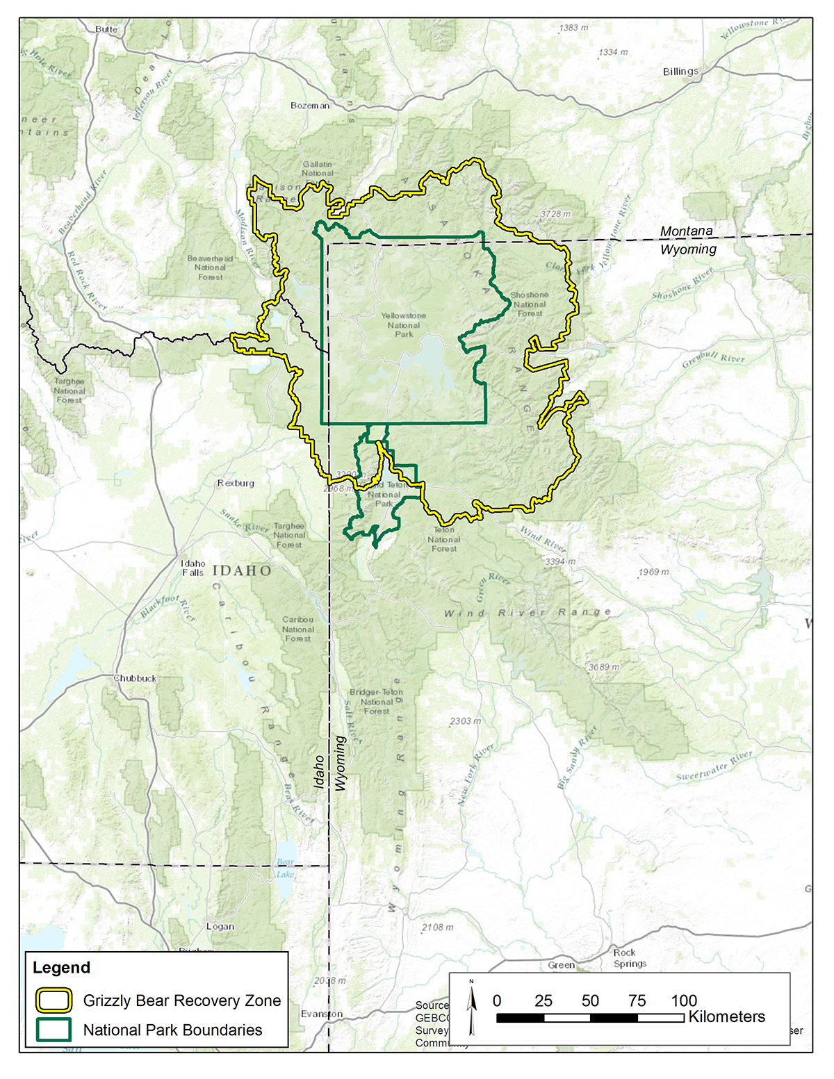 Grizzly Bear Population Plummets: Project 2025'S Response - mkzvlv8