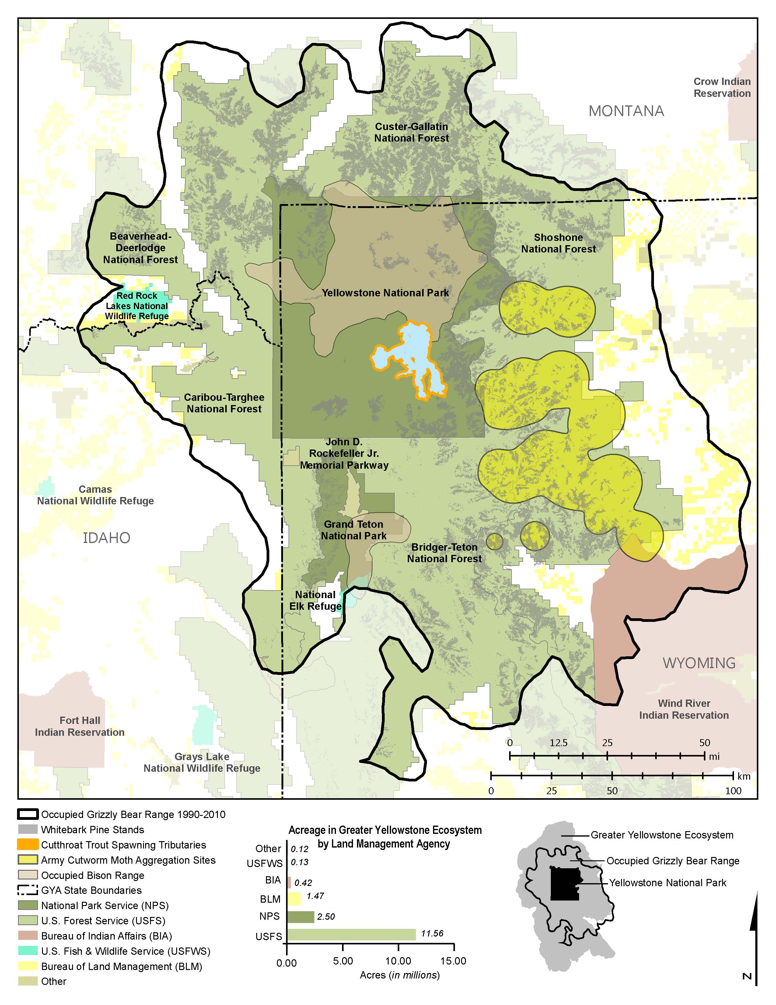 Grizzly Bears Ultimate Omnivores of the Greater Yellowstone Ecosystem Yellowstone National