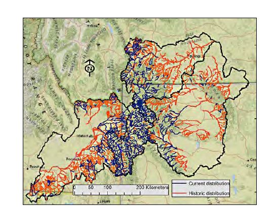 Status and Conservation of Yellowstone Cutthroat Trout in the Greater