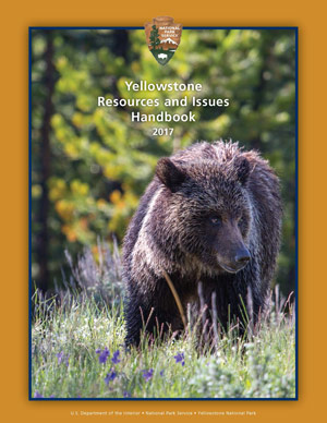 Handbook cover with a grizzly bear walking through a field or purple wildflowers Handbook cover with a grizzly bear walking through a field or purple wildflowers