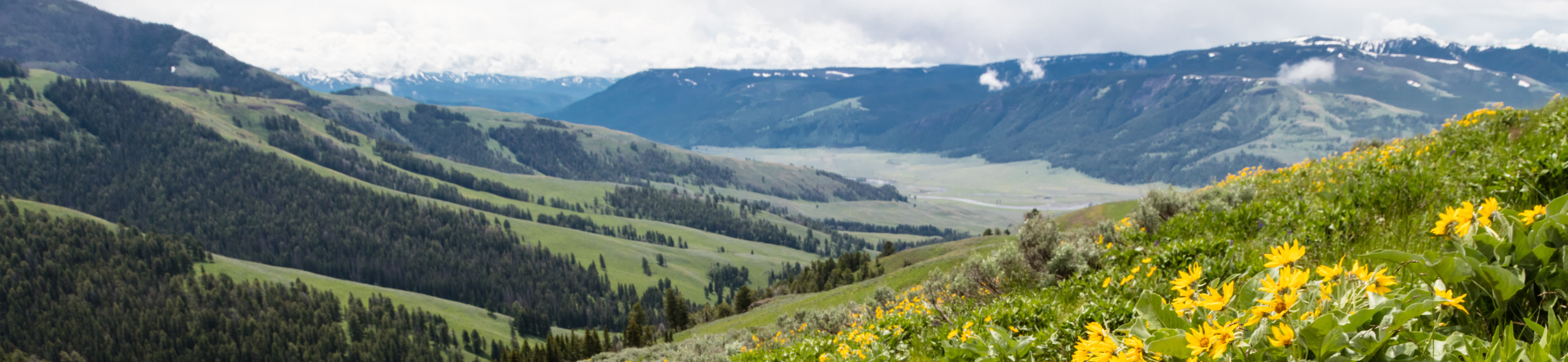 A vast mountainous landscape