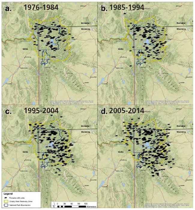 Figure 2.  Distributions of initial sightings of unique females with cubs in the GYE from 1976 to 2014.